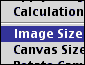 Image Resizing