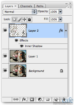 Middle layer
